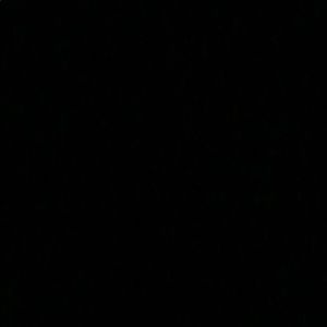 Meet your Posher, Lily